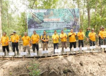 Dukung G20, SKK Migas-KKKS Tanam Ribuan Pohon Mangrove di Jambi