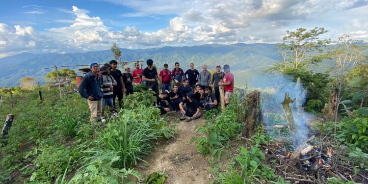 Pengedar Ganja ‘Nyanyi’, Ditresnarkoba PMJ Temukan 11 Hektar Ladang Ganja di Madina
