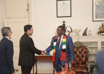 Presiden Hendak Kunjungi Afrika, Luhut Sambangi 3 Negara