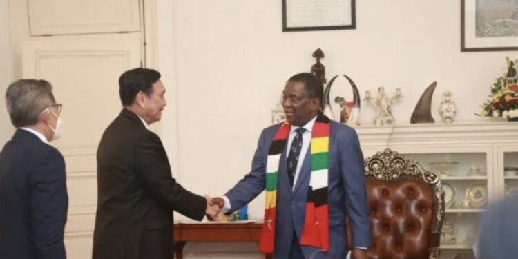 Presiden Hendak Kunjungi Afrika, Luhut Sambangi 3 Negara