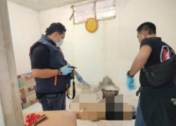 Heboh, Perempuan Hamil Tewas Bersimbah Darah di Ruko Kelapa Gading