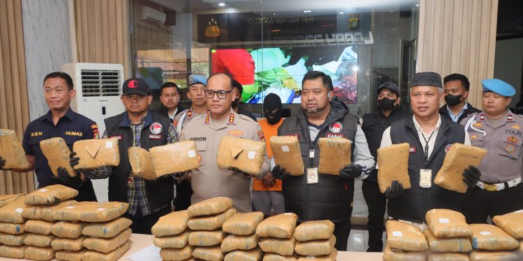 Polres Jakut Gagalkan Peredaran Ganja Seberat 77 Kg