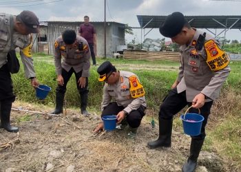 Sukseskan Ketahanan Pangan, Kapolrestabes Medan Tanam Jagung & Bawang Merah