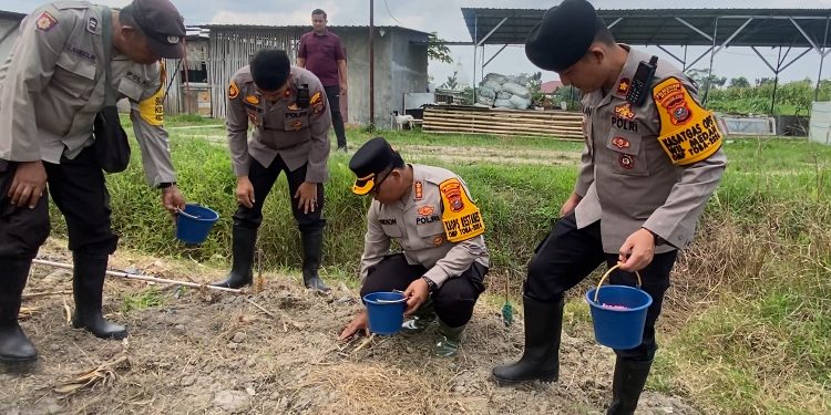 Sukseskan Ketahanan Pangan, Kapolrestabes Medan Tanam Jagung & Bawang Merah