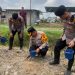 Sukseskan Ketahanan Pangan, Kapolrestabes Medan Tanam Jagung & Bawang Merah