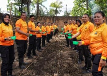 Dukung Ketahanan Pangan, Polsek Medan Kota Tanam Jagung Madu