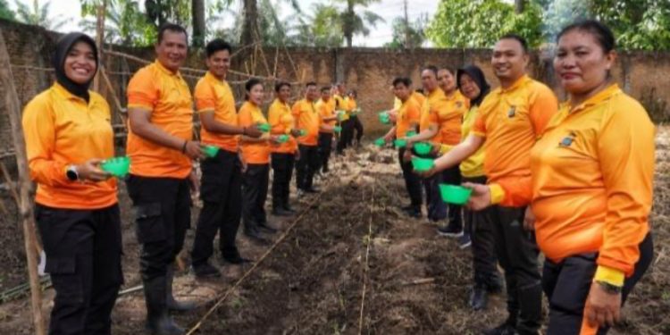 Dukung Ketahanan Pangan, Polsek Medan Kota Tanam Jagung Madu