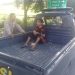 Curi Kartu e-Tol, 2 Preman depan Pintu Tol Bandar Selamat Ditangkap Polisi