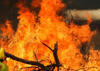 Kebakaran Hebat, Penduduk Australia Selatan Dievakuasi