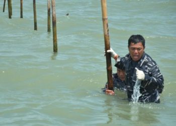 TNI AL Bongkar 22,5 km Pagar Bambu