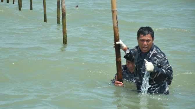 TNI AL Bongkar 22,5 km Pagar Bambu