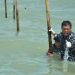 TNI AL Bongkar 22,5 km Pagar Bambu
