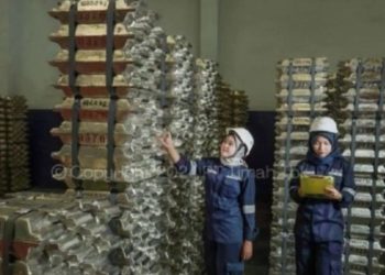 PT Timah Pecat Karyawan Pengejek Pekerja Honorer Pengguna BPJS