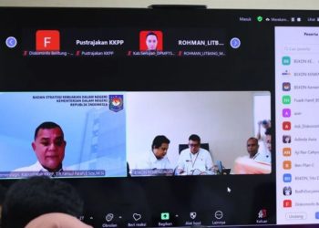BSKDN ajak Daerah Terapkan LPePD untuk Tingkatkan Pelayanan