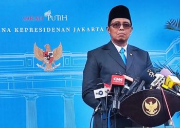 Berikut Struktur Organisasi Danantara