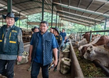 Jelang Ramadan, Barantin: Sapi Impor Sehat dan Bebas dari Penyakit