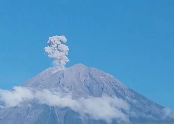 Gunung Semeru Erupsi, Tinggi Letusan Mencapai 1.100 Meter di atas Puncak