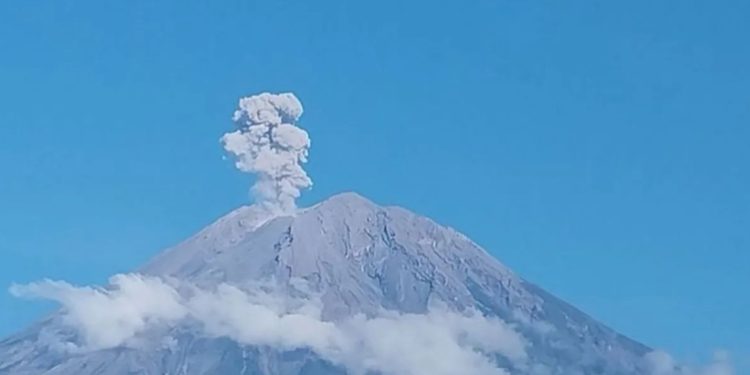Gunung Semeru Erupsi, Tinggi Letusan Mencapai 1.100 Meter di atas Puncak