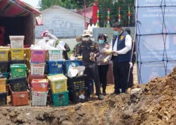 Polda Sumut Kubur 4 ton Mangga Impor Ilegal