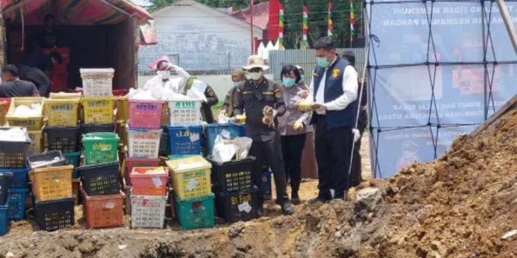 Polda Sumut Kubur 4 ton Mangga Impor Ilegal