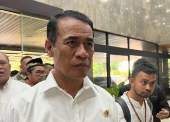 Stok 3,8 juta Ton, Mentan: Selangkah Menuju Swasembada Beras