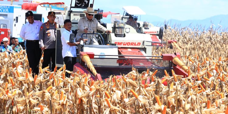 Presiden Prabowo Bahagia Bisa Panen Raya Jagung Bersama Polri
