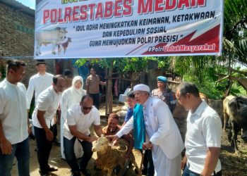 Idul Adha 1446 H, Polrestabes Medan Sembelih Puluhan Sapi & Kambing