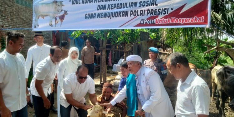 Idul Adha 1446 H, Polrestabes Medan Sembelih Puluhan Sapi & Kambing
