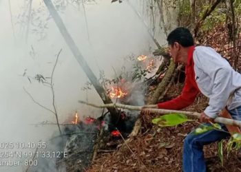 Karhutla di Toba sekitar 220 Hektar