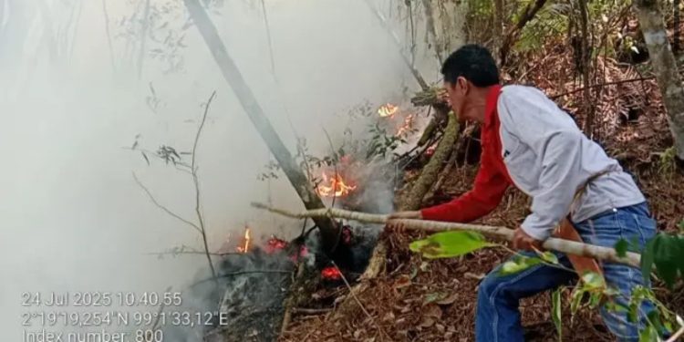 Karhutla di Toba sekitar 220 Hektar