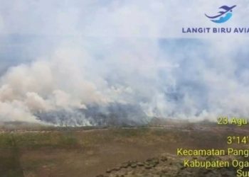 BPBD Sumsel Kerahkan Helikopter Padamkan Kebakaran Hutan di OKI
