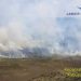 BPBD Sumsel Kerahkan Helikopter Padamkan Kebakaran Hutan di OKI