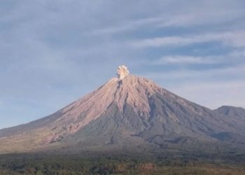 Gunung Semeru Erupsi, Tinggi Letusan 700 meter