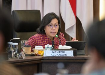 Sri Mulyani Minta Maaf