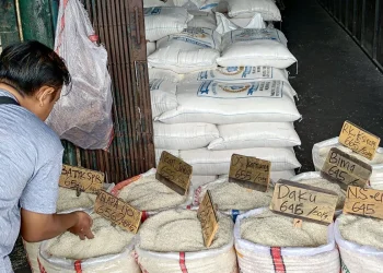 Pedagang Beras Pasar Induk Cipinang Keluhkan Tingginya harga Gabah