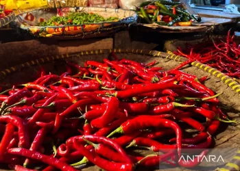 Harga Harga Cabai Merah & Bawang Merah Turun
