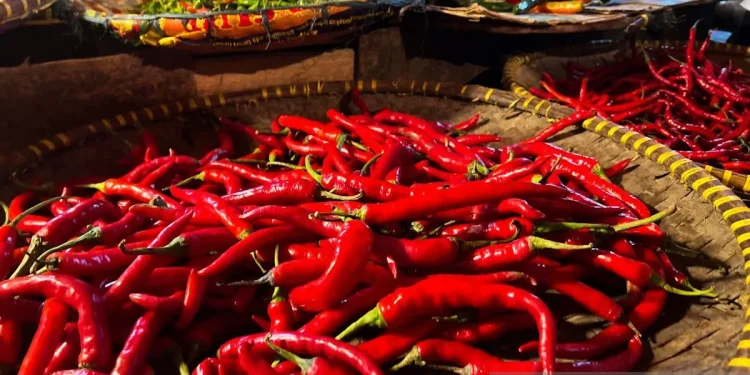 Harga Harga Cabai Merah & Bawang Merah Turun