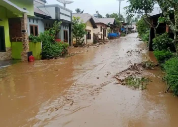 Update Banjir Sumut, 24 Orang Meninggal