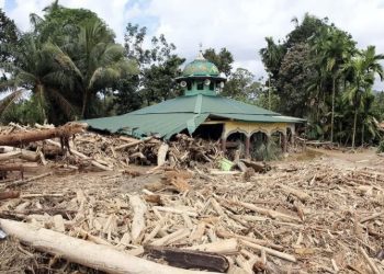 BP BUMN Desak Polisi Usut Pembalakan Liar di Aceh & Sumatera