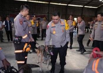Cari Korban Banjir & Longsor, Polisi Kerahkan Anjing Pelacak