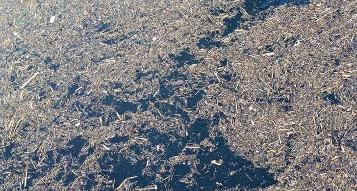 Bareskrim akan Selidiki Gelondongan Kayu Terbawa Banjir Sumatera & Aceh