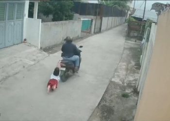 Polisi Kantongi Identitas Pencuri yang Seret Bocah 9 tahun