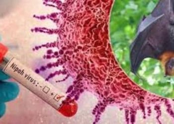 Tingkat Fatalitas Capai 75 persen, Virus Nipah belum ada Obatnya