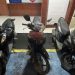 Cegah Balap Lari Liar di Ciputat, Celurit dan Sejumlah Barang Diamankan