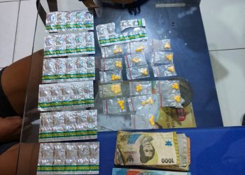 Polisi Bongkar Kedok Penjual Sayur yang Edarkan Obat Keras