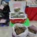 Polres Metro Jaksel Ungkap Gerebek Rumah Produksi Ganja, 2 Orang Ditangkap