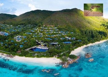 Wabah Penyakit Nyamuk Melanda Seychelles