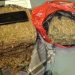 Polda Metro Gagalkan Peredaran 4,3 Kg Ganja di Depok