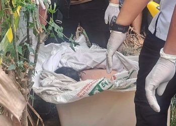 Mayat Perempuan dalam Kontainer Putih