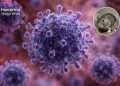 Kemenkes: 23 Kasus Hantavirus di Indonesia